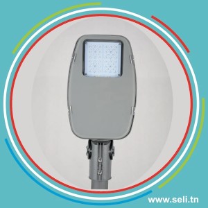 LUMINAIRE LED URBAIN 30 W 12VDC POUR PANNEAU SOLAIRE .Arduino tunisie