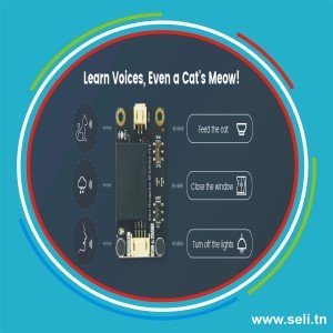 CAPTEUR DE RECONNAISSANCE VOCALE POUR ARDUINO/RASPBERRY PI/PYTHON/ESP32 - I2C ET UART SEN0539-EN.Arduino tunisie