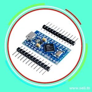 ARDUINO PRO MICRO DESSOUDEE ATMEGA32U4 USB MINI.Arduino tunisie