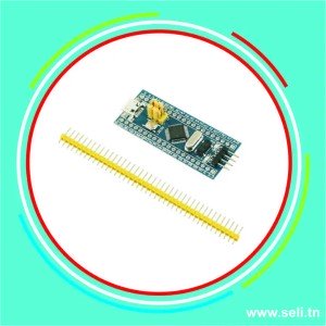 CARTE DE DEVELOPPEMENT TENSTAR STM32F103C6T6.Arduino tunisie