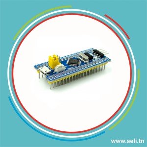 CARTE DE DEVELOPPEMENT TENSTAR STM32F103C6T6 PROFESSIONNELLEMENT SOUDEES.Arduino tunisie