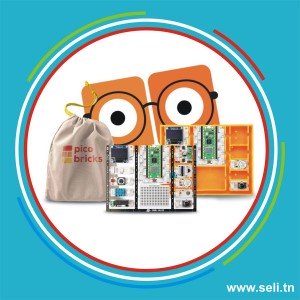 KIT EDUCATIF A BASE DE RASPBERRY PICO ? PICOBRIKS BASIC.Arduino tunisie