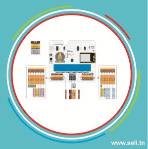 MICRO BIT: IOT MODULE POUR MICRO BIT.Arduino tunisie