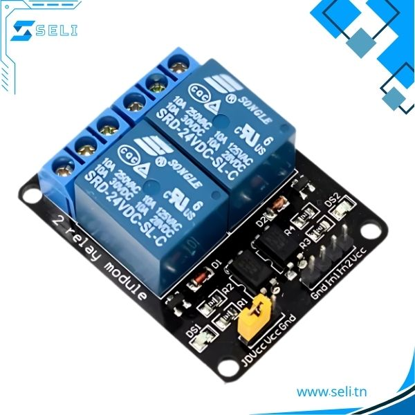 MODULE RELAIS 24V 2 CANAUX .Arduino tunisie