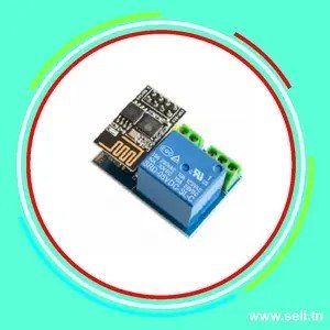 MODULE RELAIS AVEC ESP-01 POUR SMART CONTROLE.Arduino tunisie