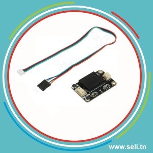 MODULE DE RECONNAISSANCE VOCALE SEN0539 DFROBOT SEN0539-EN COMPATIBLE MICRO:BIT-ARDUINO-ESP32-I2C ET UART.Arduino tunisie