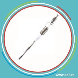 SONDE DE NIVEAU LIQUIDE BIPOLAIRE EN INOX 304 DIAM 3MM G1/8 L=400MM.Arduino tunisie