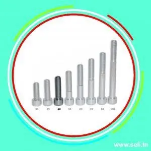 VIS CHC INOX304 - 3X10.Arduino tunisie