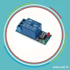 MODULE RELAIS 1 CHANNEL 12V  SRA-12VDC.Arduino tunisie