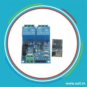 MODULE RELAIS 2 CANNAUX AVEC ESP-01 POUR SMART CONTROLE.Arduino tunisie