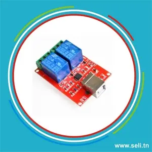 MODULE RELAIS PROGRAMMABLE 2 CANNAUX 5V.Arduino tunisie