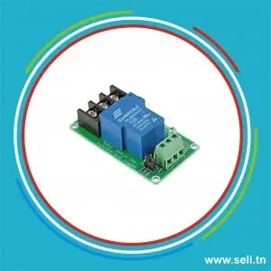 MODULE RELAIS 1 CHANNEL 05VDC  - 1INV  250V/30A.Arduino tunisie