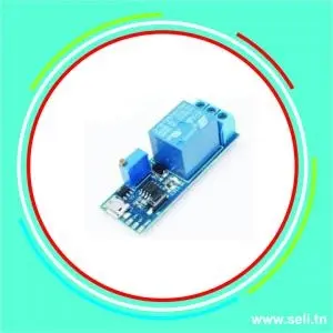 MODULE RELAIS TEMPORISE 5V-30V DC AVEC PORT MICRO USB .Arduino tunisie