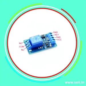 MODULE RELAIS BISTABLE BOBINE 12VDC.Arduino tunisie