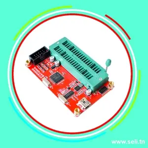 PROGRAMMATEUR USB POUR EEPROM MICROSHIP/ST/SST/WINBOND .Arduino tunisie