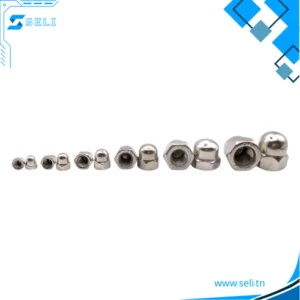 ECROU BORGNE EN ACIER INOXYDABLE OU GALVANISE M3, M4, M5 ET M6