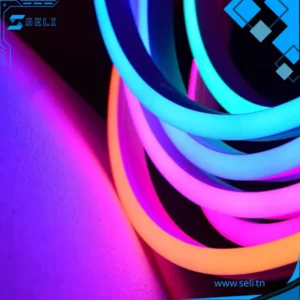 BANDE LED NEON FLEXIBLE IP68 12V LONGUEUR 5M