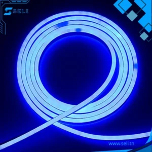 BANDE LED NEON FLEXIBLE ETANCHE IP65 12V LONGUEUR 5M - Bleu glacé