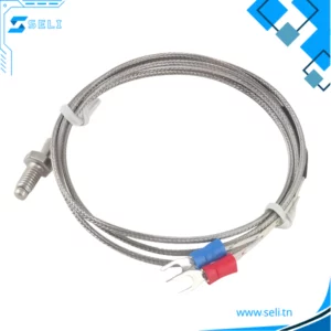 THERMOCOUPLE TYPE J M6 L=4M WRJT-02