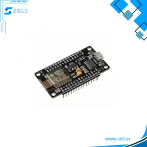 NODEMCU ESP8266-12E LUA V2 - CH340G