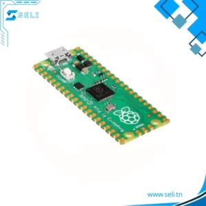 RASPBERRY PI PICO RP2040 - Simple, DésSoudées