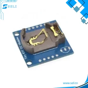 MODULE HORLOGE TEMPS REEL - 1307