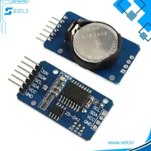 MODULE HORLOGE TEMPS REEL - 3231