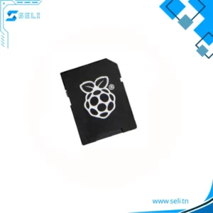 CARTE MEMOIRE SD OFFICIELLE POUR RASPBERRY PI4 + NOOBS V3.6.0 - 32GB