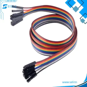 JEU DE 10 FILS DE CONNEXION – DUPONT WIRE – LONGUEUR 20CM ET 30CM - 30cm, FEMELLE-FEMELLE