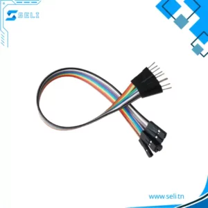 JEU DE 10 FILS DE CONNEXION – DUPONT WIRE – LONGUEUR 20CM ET 30CM - 30cm, MALE-FEMELLE