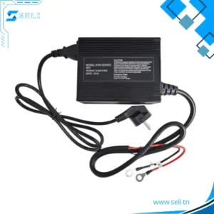 CHARGEUR BATTERIE LIFPO4 LITHIUM 12V ENTREE 200-240VAC SORTIE 14.6V15A