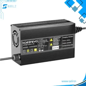 CHARGEUR BATTERIE LIFPO4 LITHIUM 12V ENTREE 200-240VAC SORTIE 29.2V15A