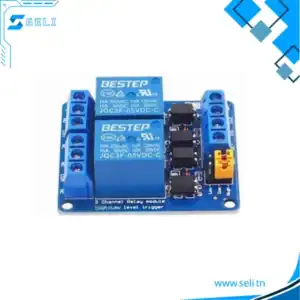 MODULE RELAIS 3V, 5V, 12V OU 24V DC AVEC OPTOCOULPEUR ET BORNIERS A VISSSER - 3V, 02 Ch