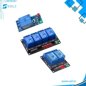 MODULE RELAIS