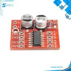 L298N PONT H - Mini