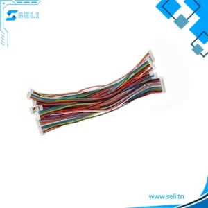 CABLE 10 FILS AVEC DOUBLE CONNECTEURS FEMELLE 1.25 L=30CM