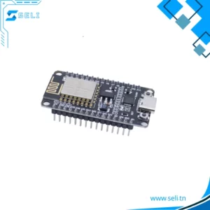 NODEMCU ESP8266-12E LUA V2 - 2102-C