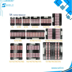 ÉQUILIBREUR EGALISEUR ACTIF LIFEPO4 5A BATTERIE