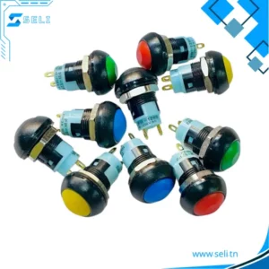 INTERRUPTEURS POUSSOIR D=12MM DIM : 21.6MMx17.5MM