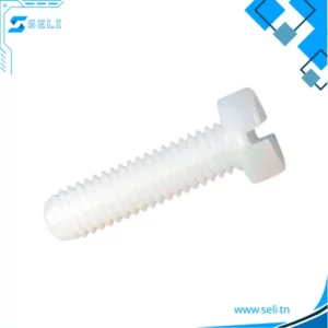 VIS PLASTIC TETE ROND/PLAT M4 M5 M6